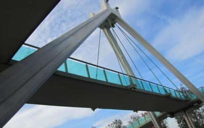 Wyróżnienie w konkursie fotograficznym ZMRP